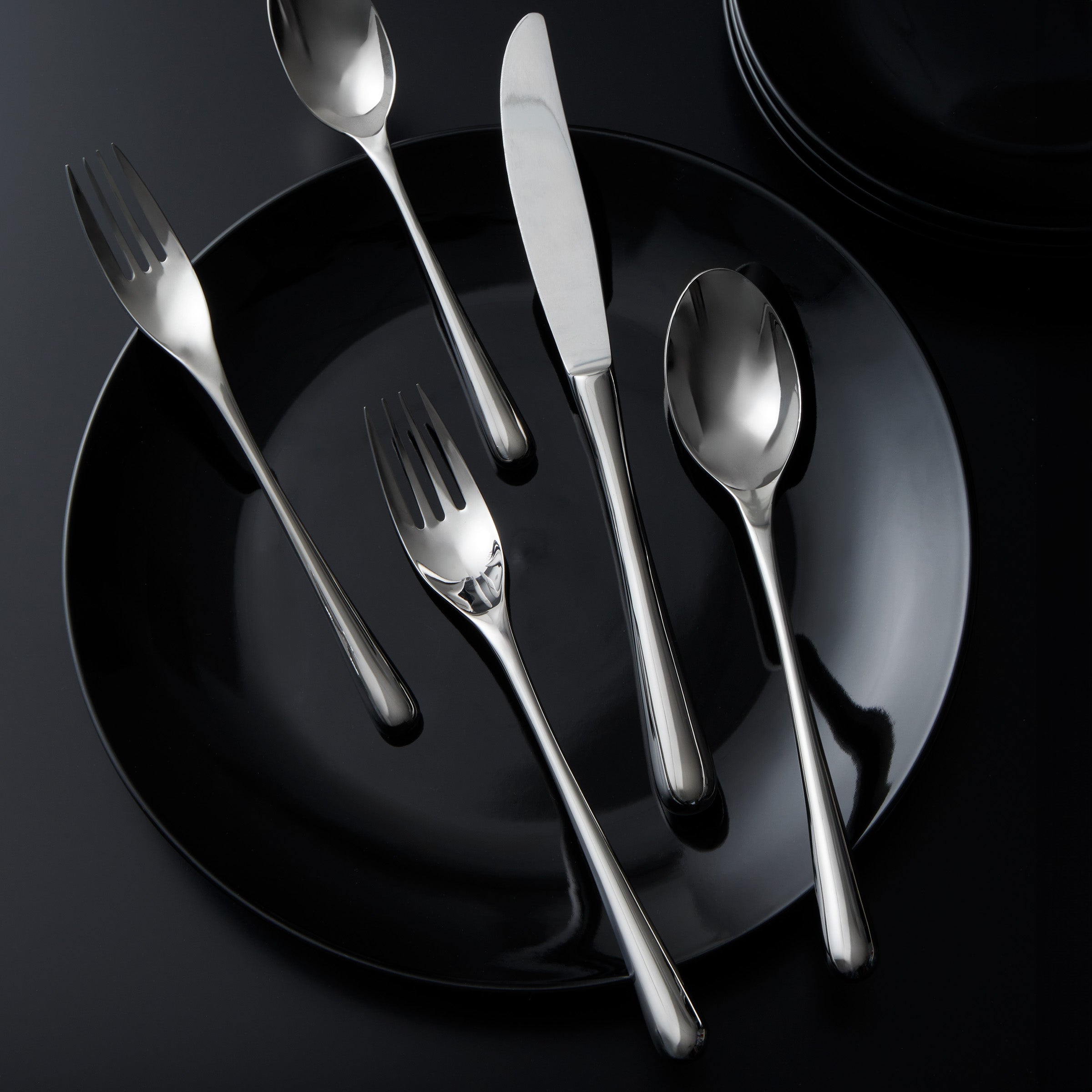 thumbnail image 2 of Ricci Argentieri MERIDIANI Stainless Steel Flatware – Glossy 18/10 – CHOICE Pieces, Used Condition 2 of 6
